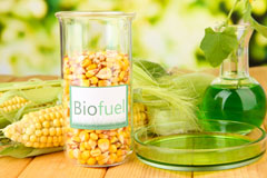 Pleck biofuel availability