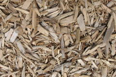 biomass boilers Pleck